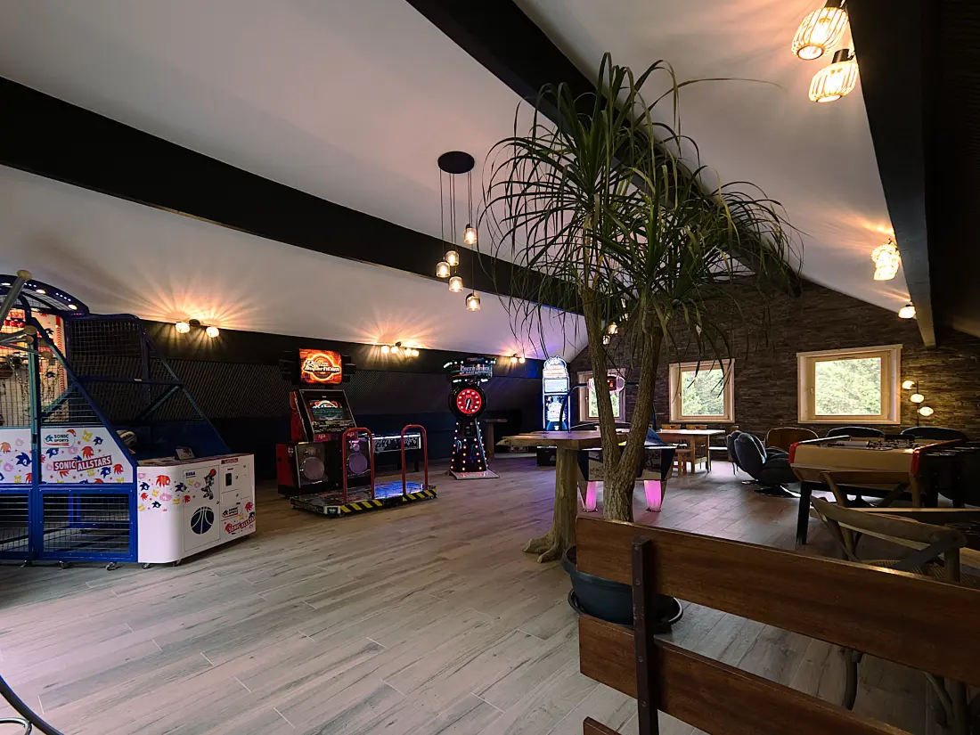 Maison de Vacances Ban-sur-Meurthe-Clefcy 9