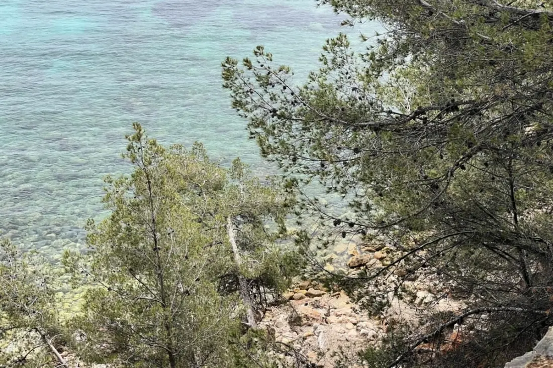 Rdc Climatisé Avec Jardin Proche Plage