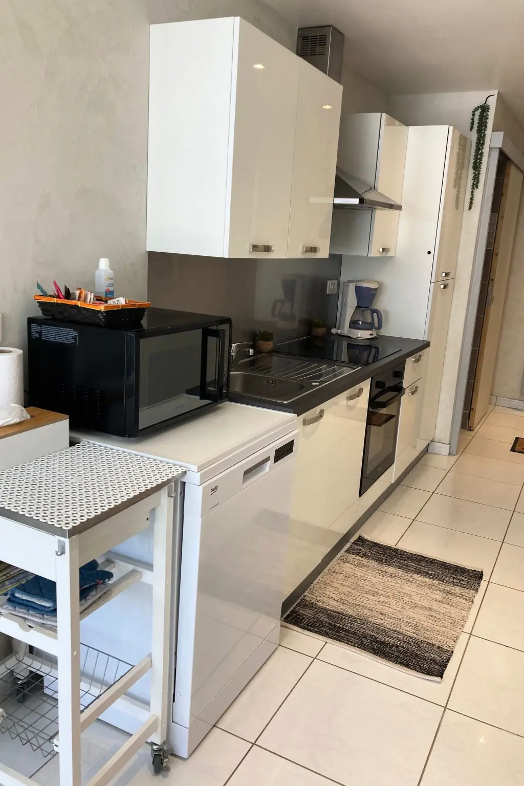 Résidence Appartement 4 p mit Garten, Plancha und Terrasse