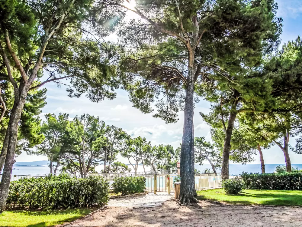 Résidence Athéna Résidence