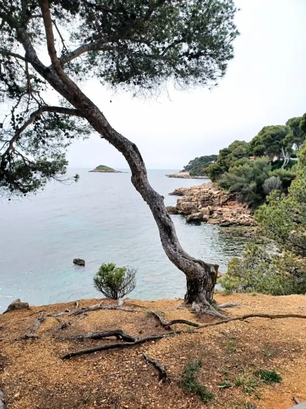 Bel Appartement Avec Piscine - Proche Plage