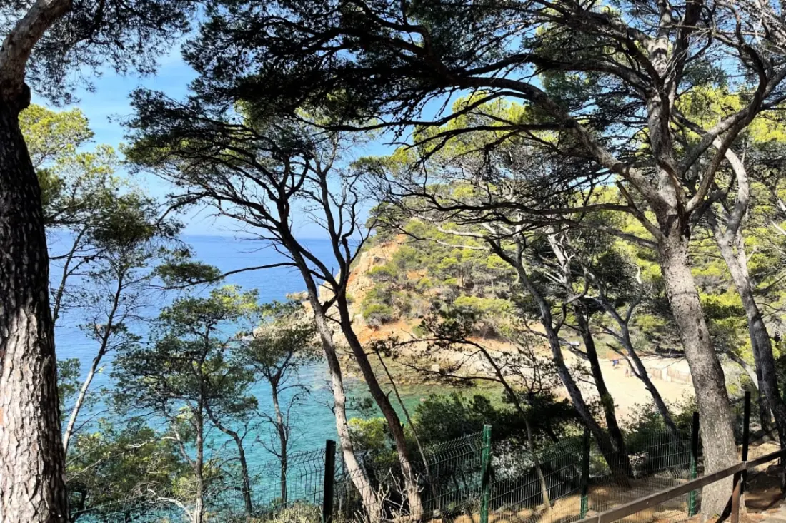 Cocon Lumineux Vue Mer Avec Piscine Athena Port