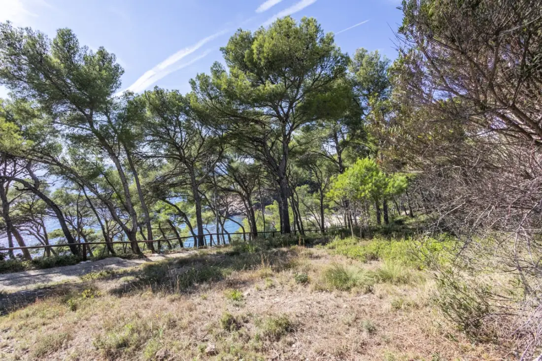 Studio Athéna -