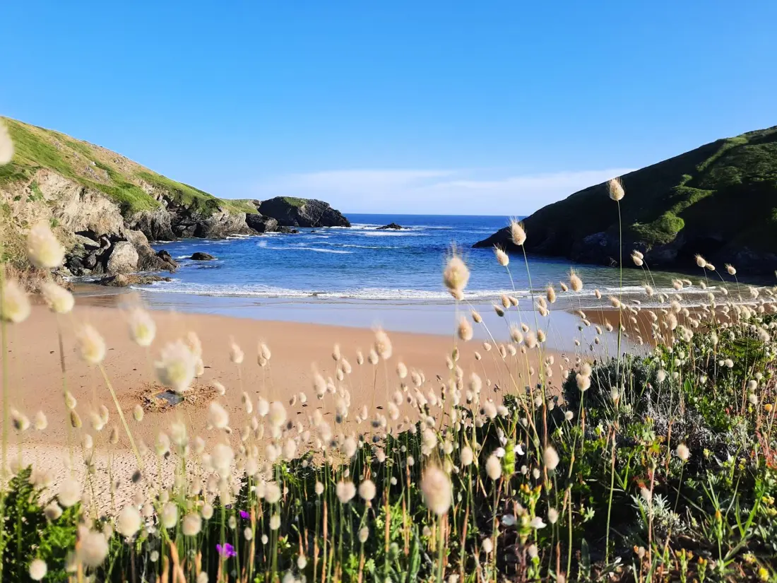 Maison de Vacances Bangor 27
