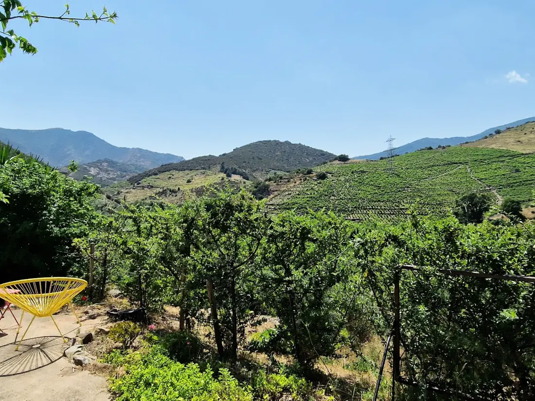 Location de Vacances Banyuls-sur-Mer 148