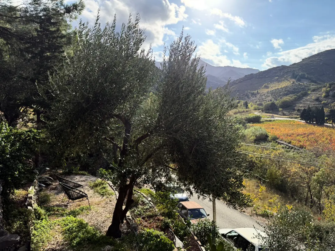 Location de Vacances Banyuls-sur-Mer 148