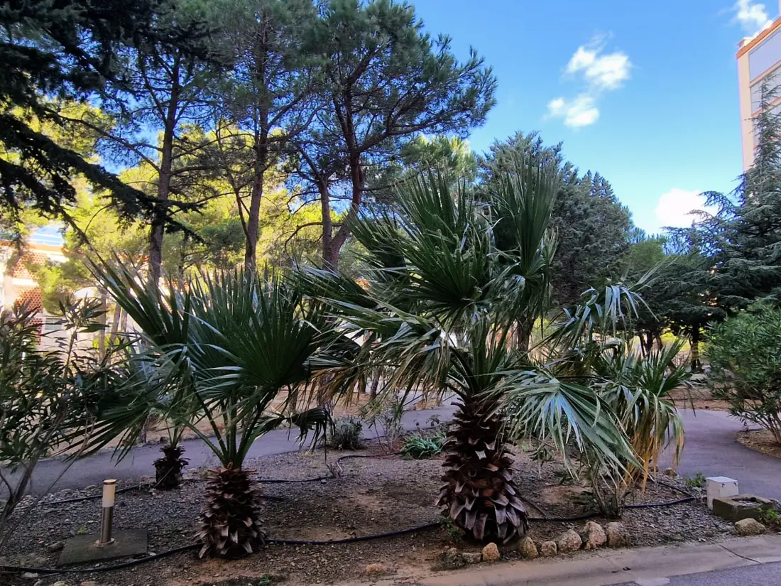 Location de Vacances Banyuls-sur-Mer 161