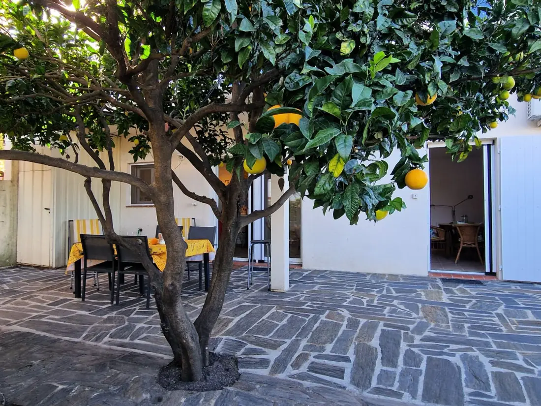 Location de Vacances Banyuls-sur-Mer 174