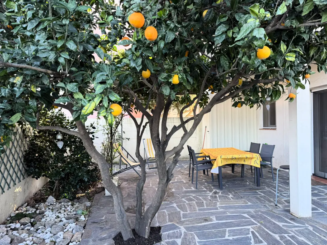 Location de Vacances Banyuls-sur-Mer 174