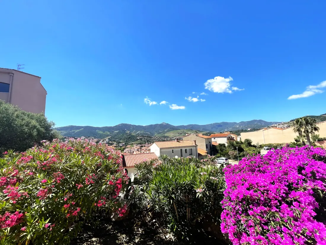 Location de Vacances Banyuls-sur-Mer 177