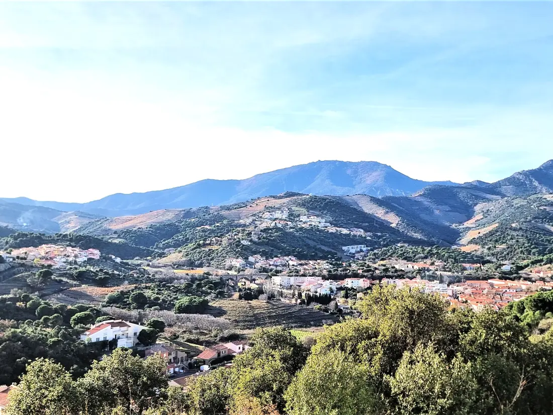 Location de Vacances Banyuls-sur-Mer 187