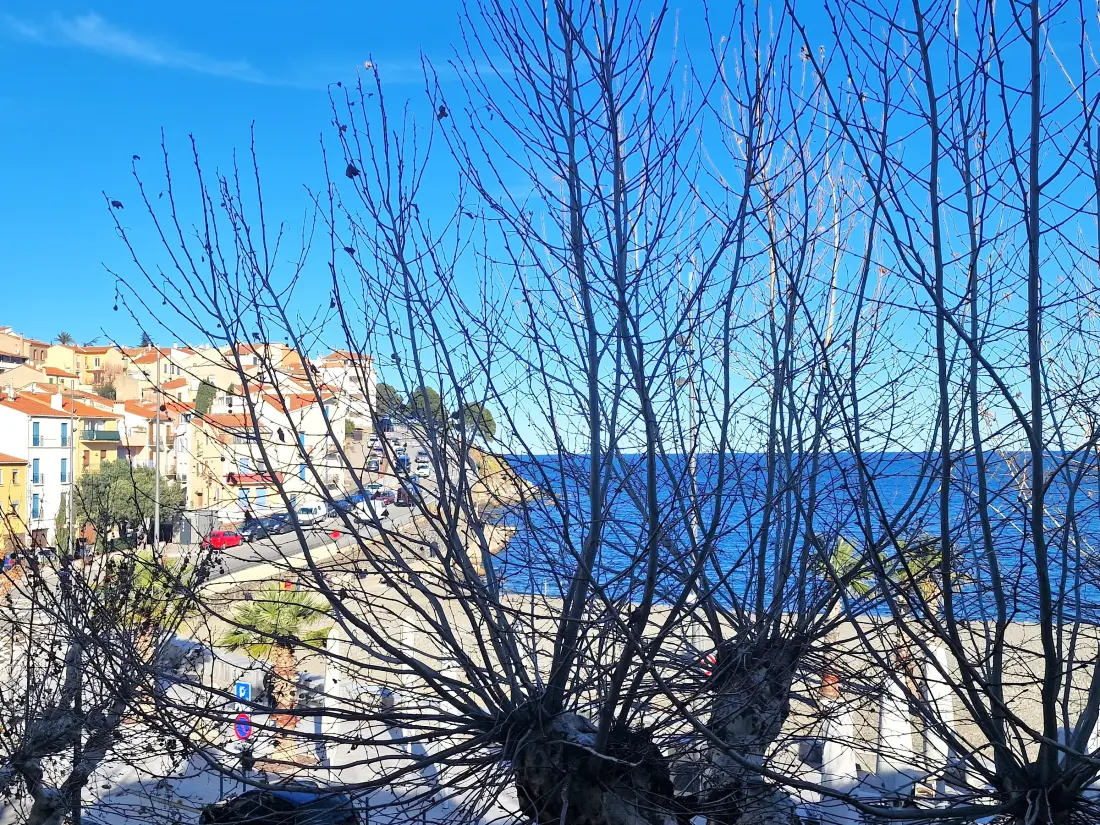 Location de Vacances Banyuls-sur-Mer 52
