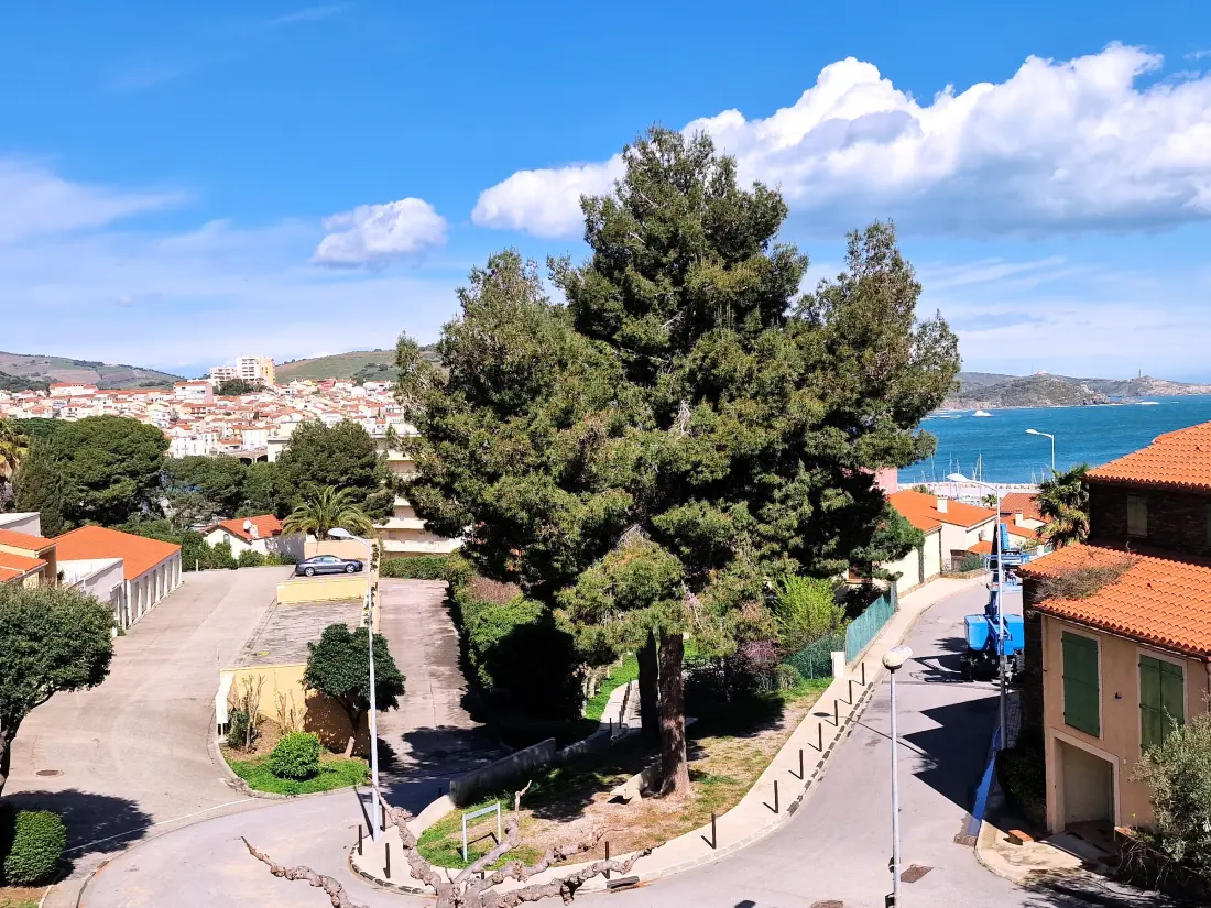 Maison de Vacances Banyuls-sur-Mer 195