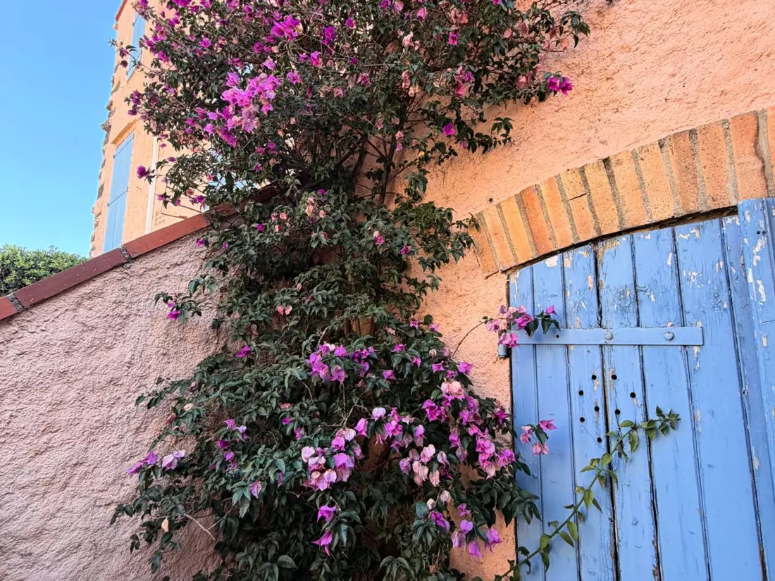 Maison de Vacances Banyuls-sur-Mer 217