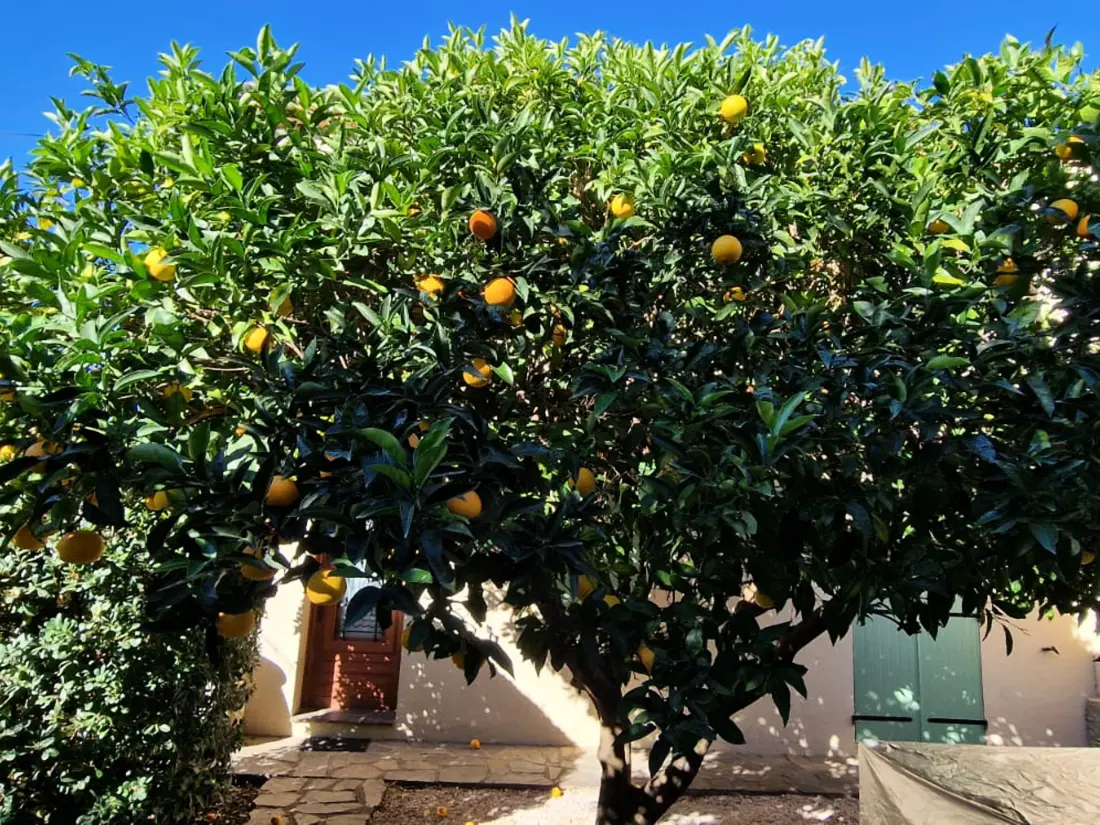 Maison de Vacances Banyuls-sur-Mer 28