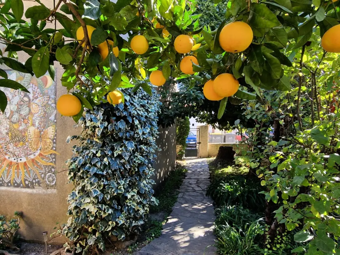 Maison de Vacances Banyuls-sur-Mer 28