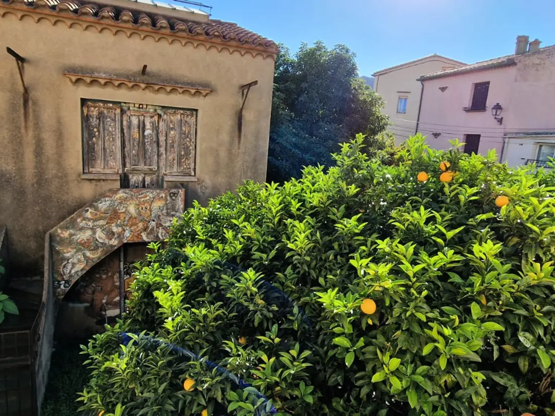 Maison de Vacances Banyuls-sur-Mer 28