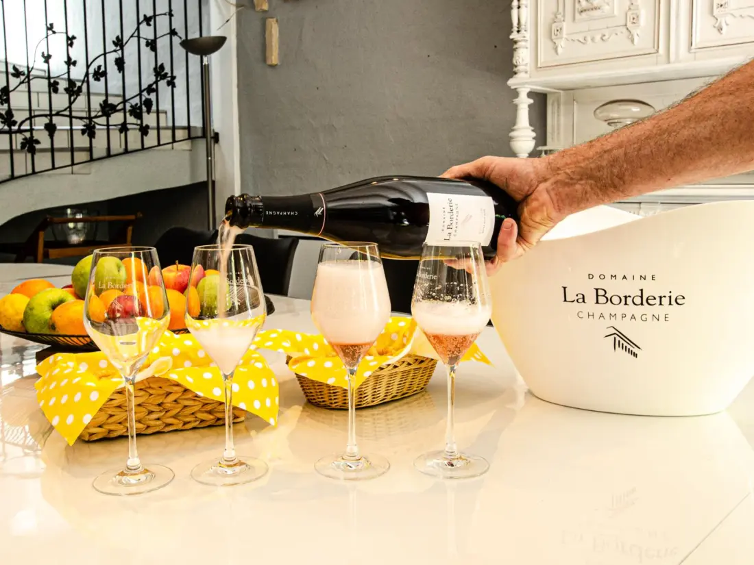 Maison de Vacances Bar-sur-Seine 3