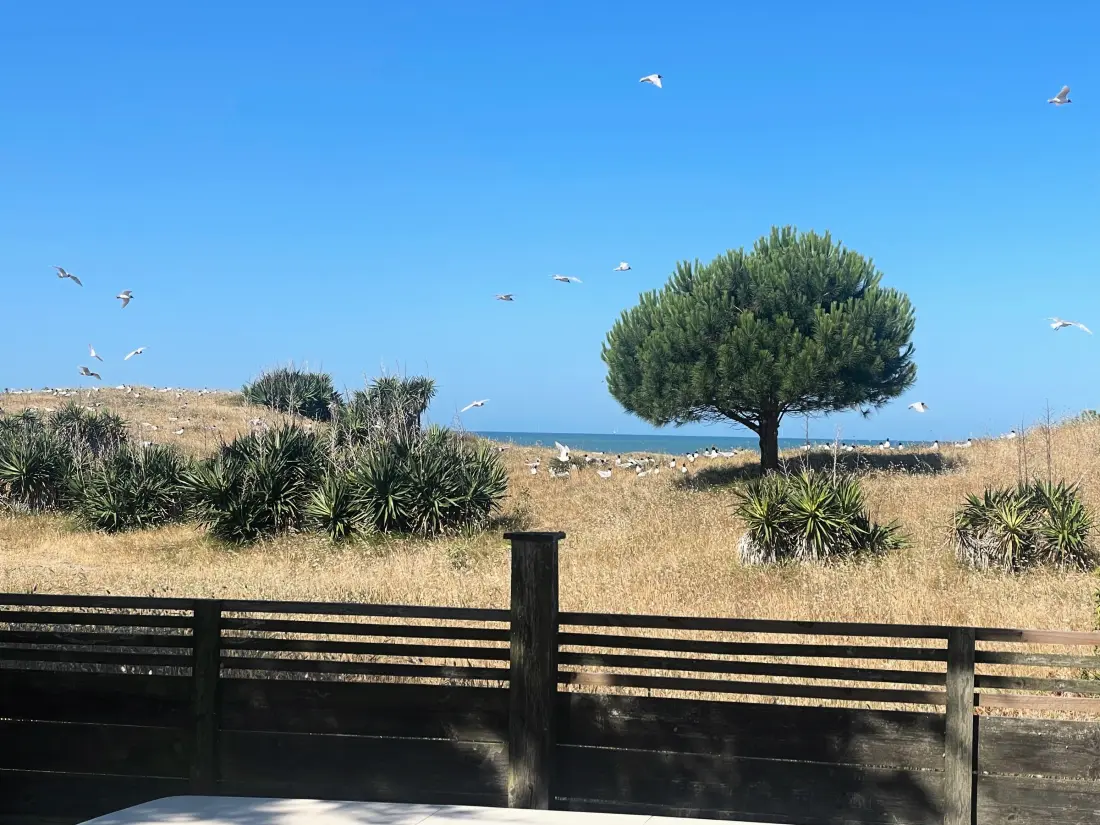 Maison de Vacances BARBATRE 152