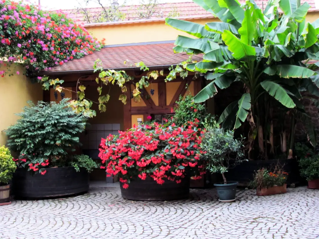 Résidence Große Ferienwohnung Gite mit Terrasse