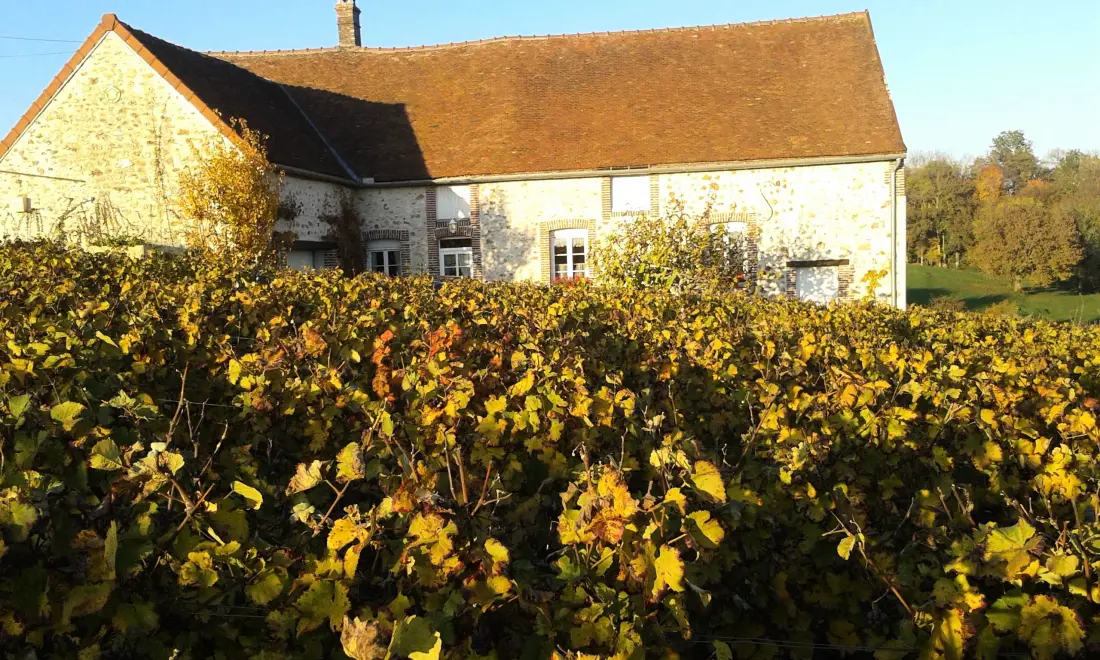 Gîte de France Les vignes 3 épis