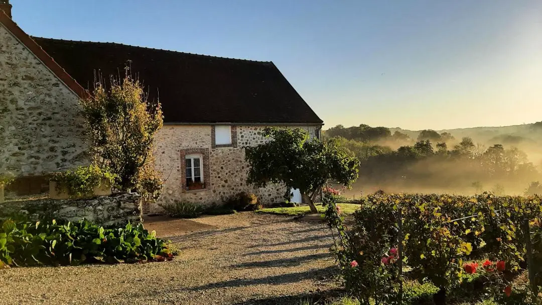 Gîte de France Les vignes 3 épis