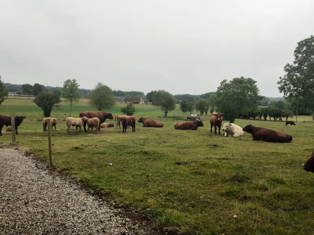 Gîte de France Gîtes de france® - gîte de la presle 3 épis