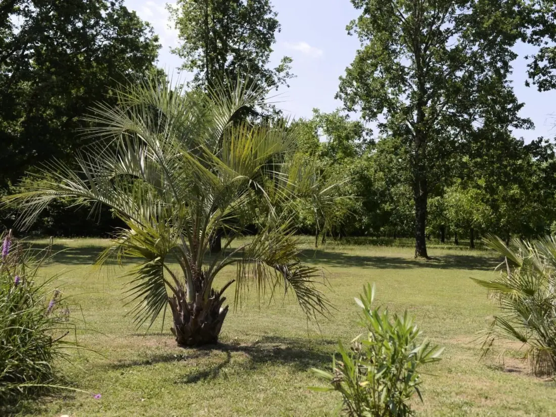 Maison de Vacances Beaumont du Périgord