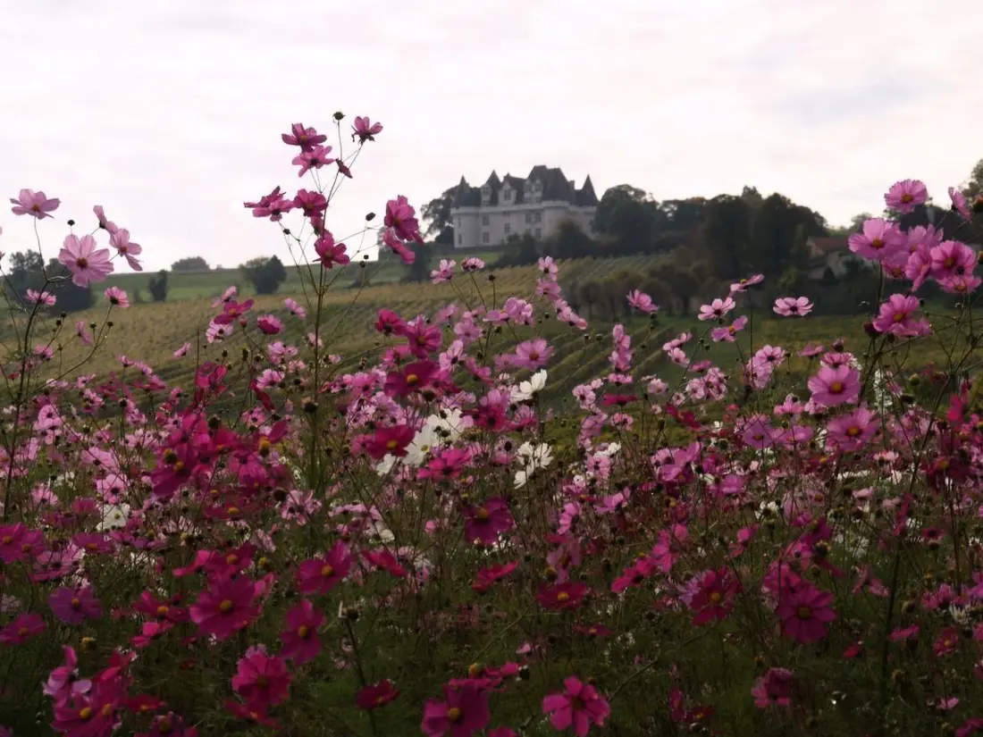 Maison de Vacances Beaumont du Périgord