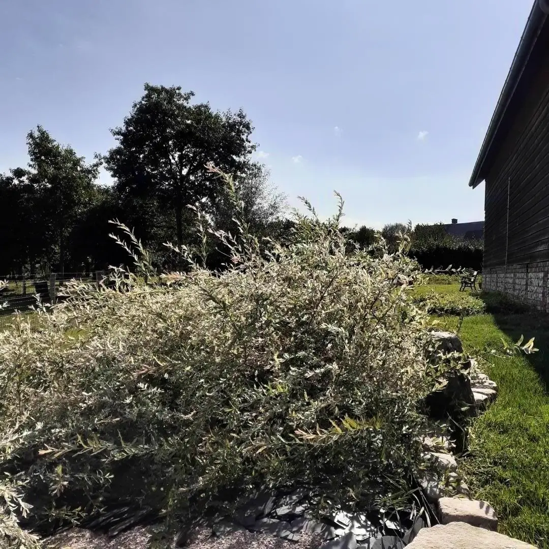 Gîte de France Gîtes de france® - l' hirondelle 2 épis