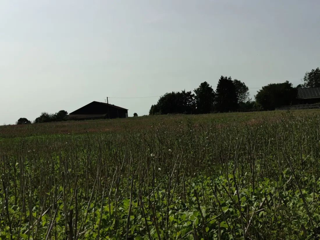 Maison de Vacances Beautheil