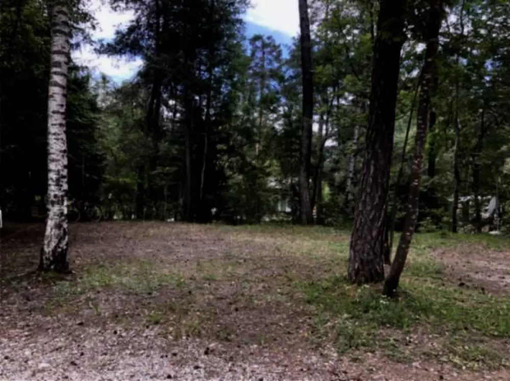 Camping Paradis Les Relarguiers 41 étoiles★