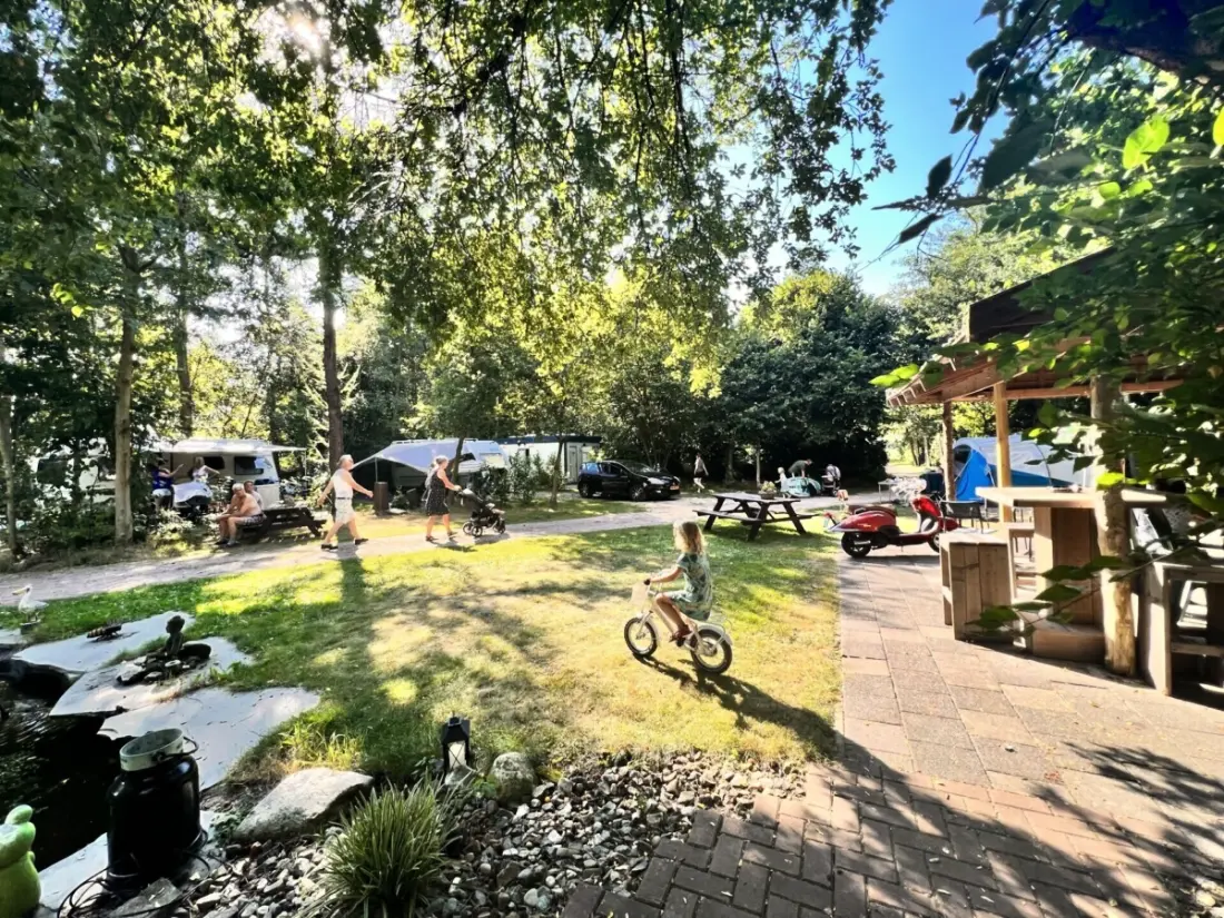 Camping de Beerte