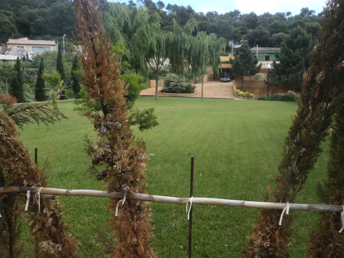 Location de Vacances Begur 40