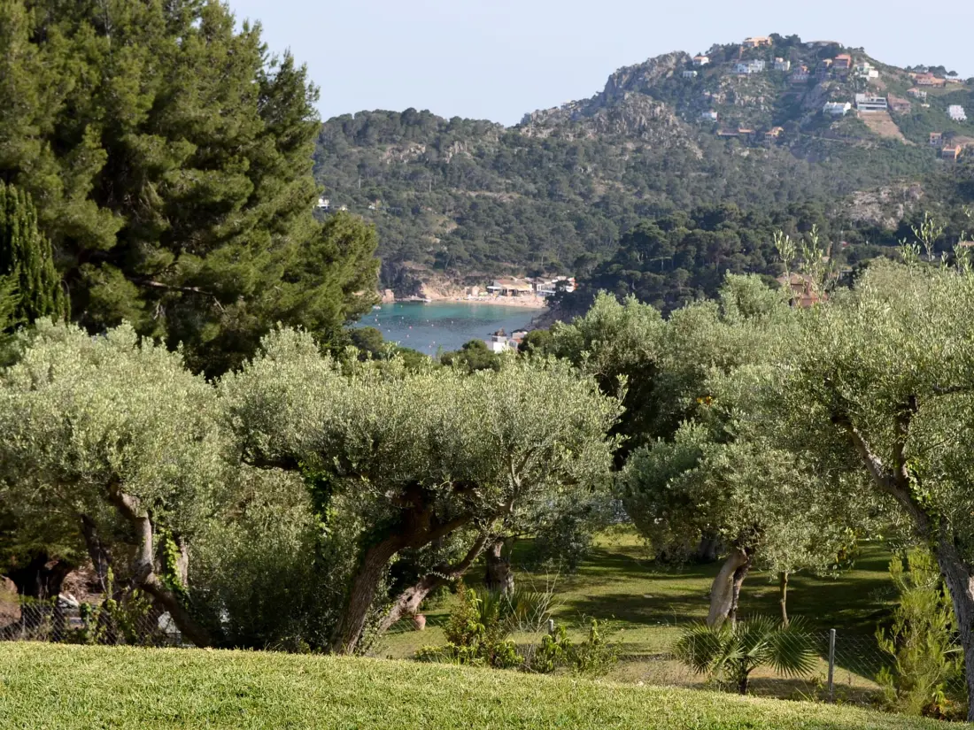 Maison de Vacances Begur 65