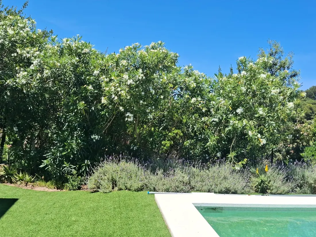 Maison de Vacances Begur 71