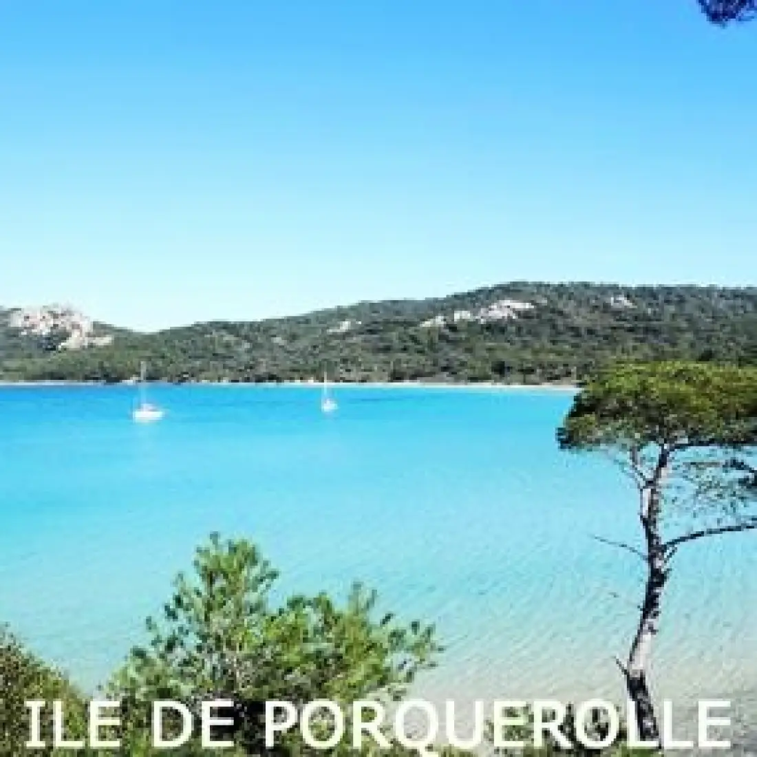 Flower Camping les Tomasses 4 étoiles★★★★