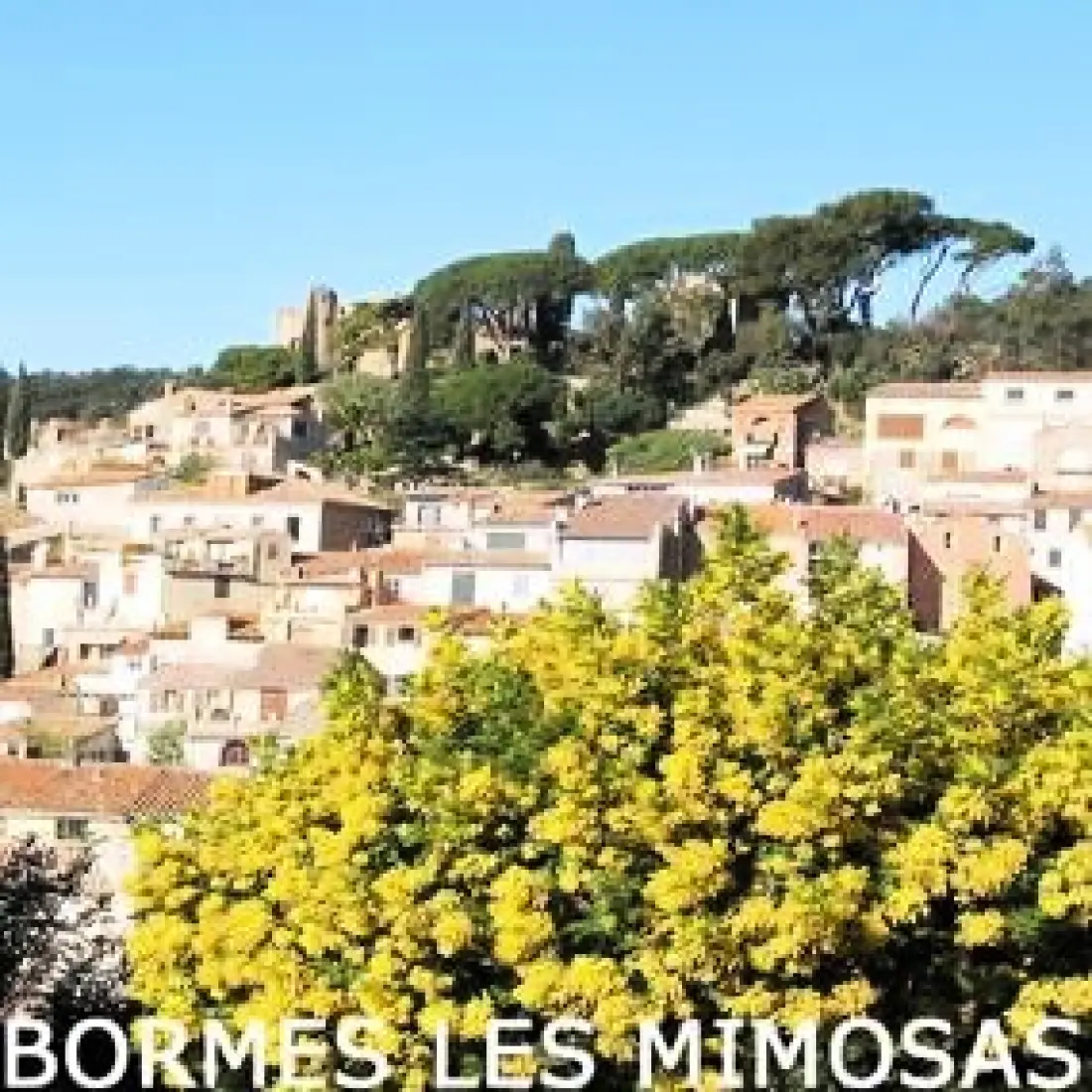 Flower Camping les Tomasses 4 étoiles★★★★