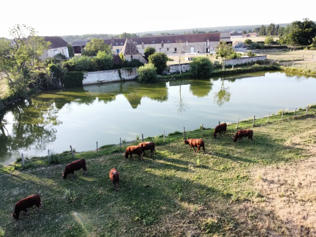 Maison de Vacances Belhomert-Guéhouville
