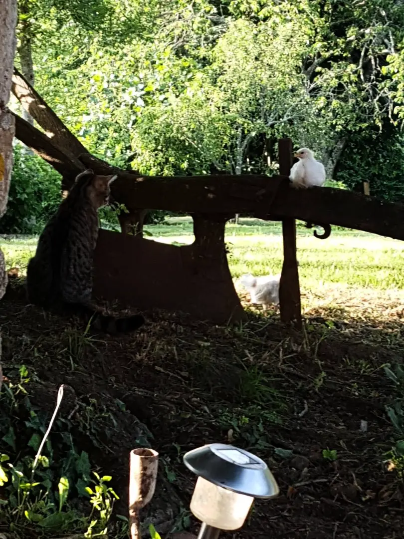 Gîte de France Les 3 tilleuls 3 épis