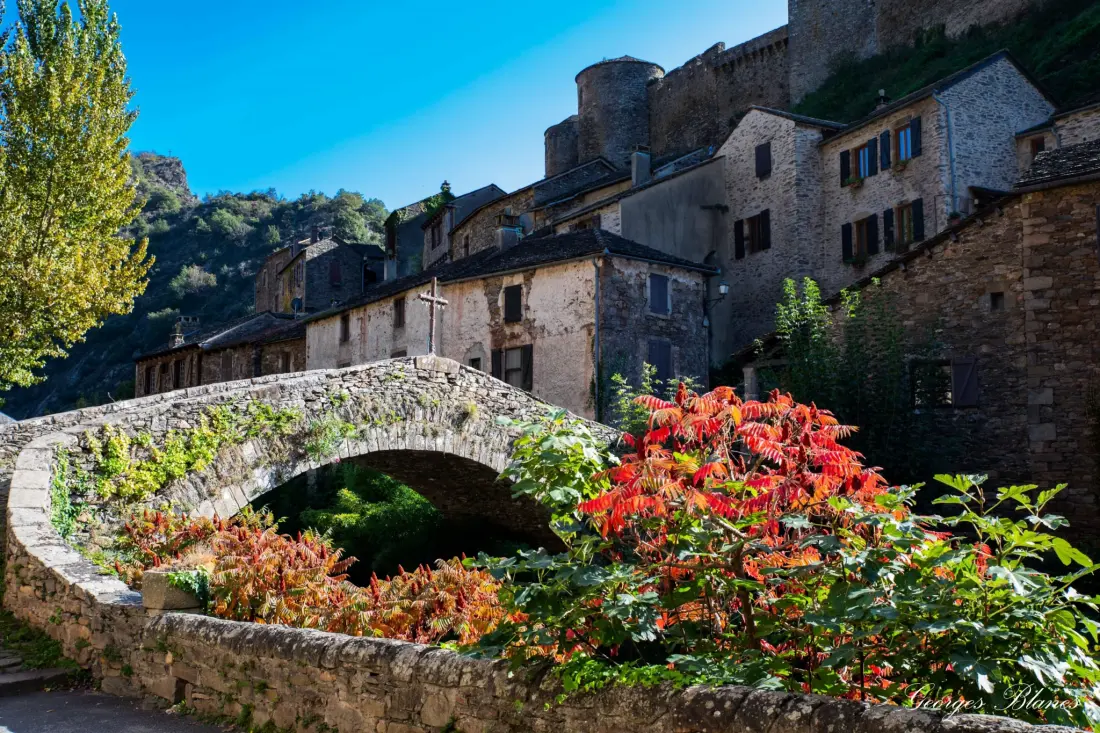 Camping Vert Lavande 3 étoiles★★★