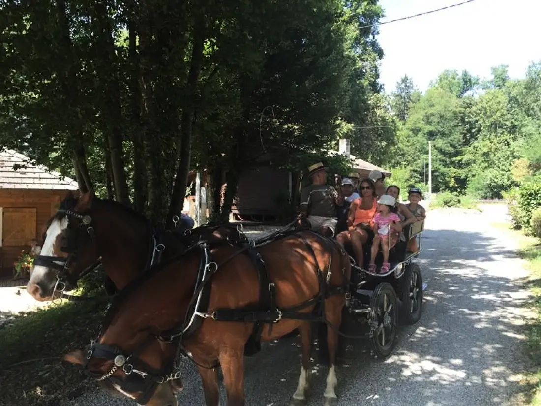 Camping Des 3 Lacs 4 étoiles★★★★