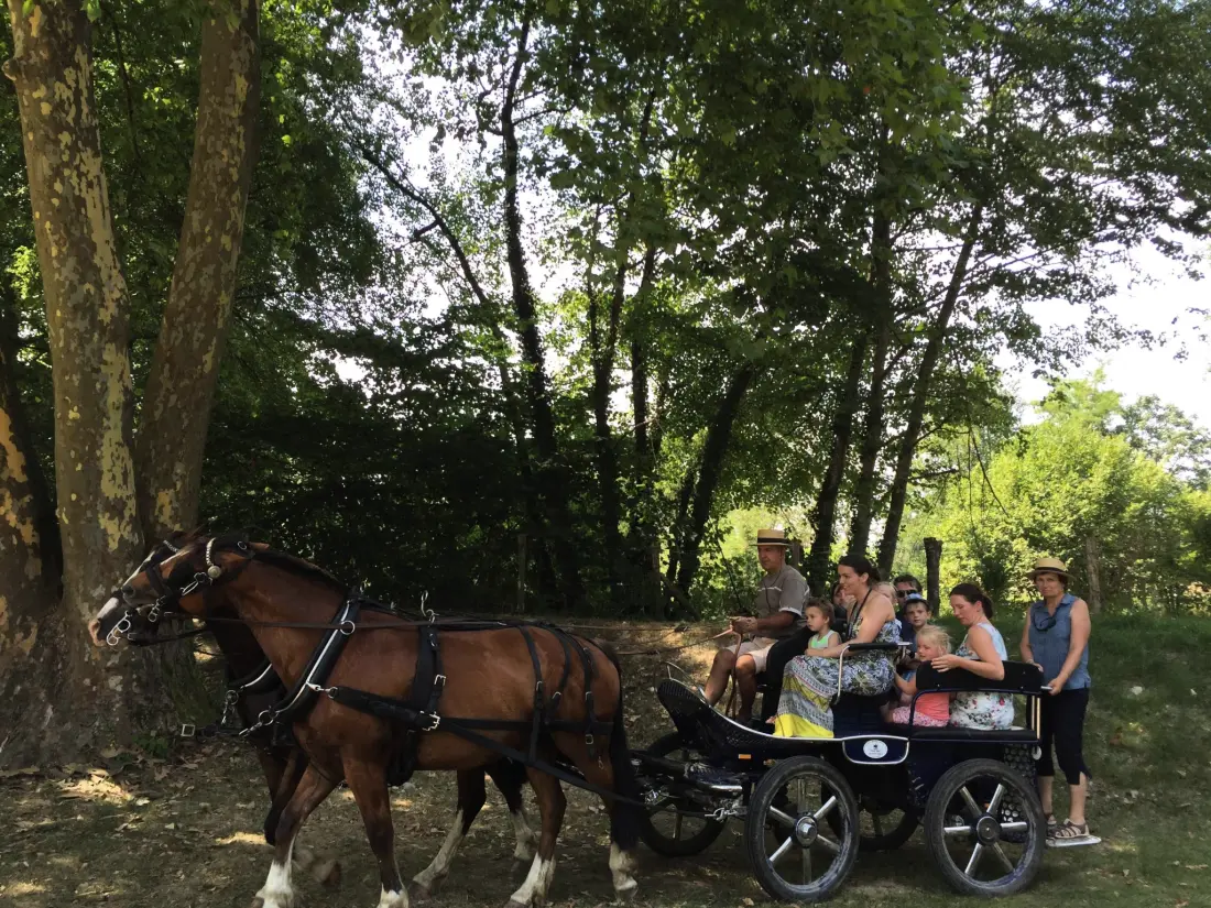 Camping Des 3 Lacs 4 étoiles★★★★