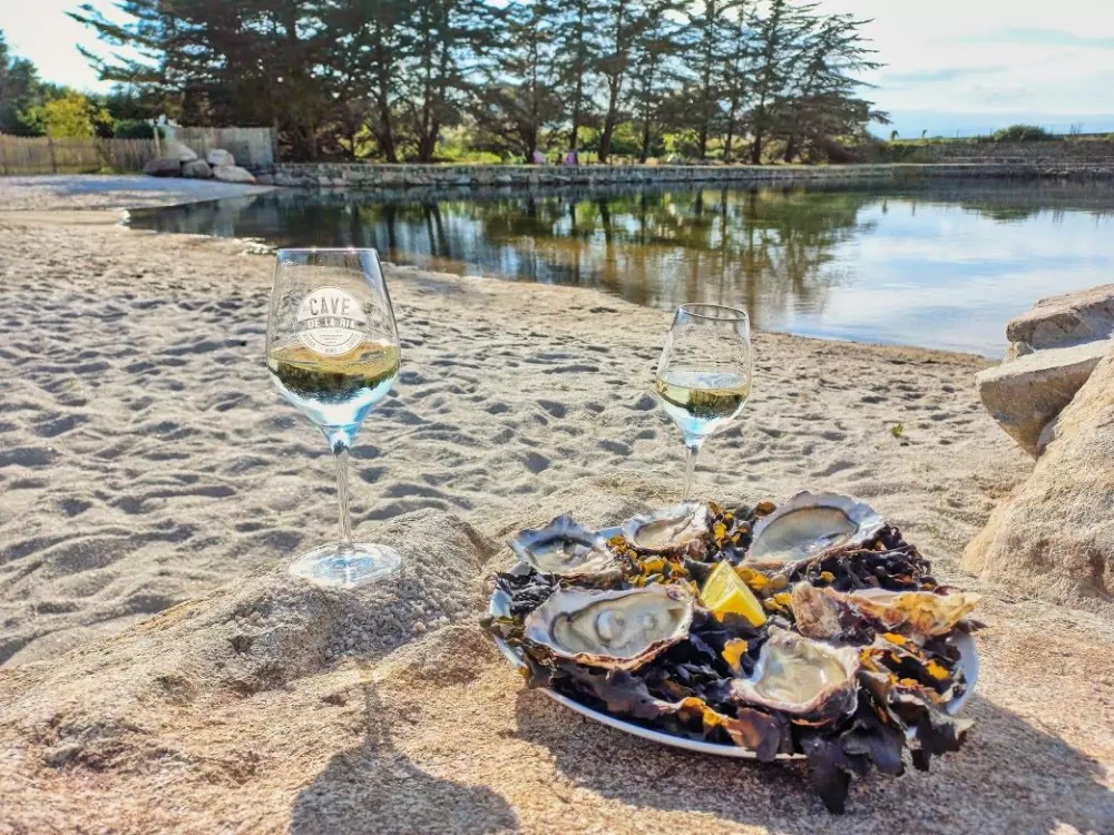 Camping Paradis Le Moulin des Oies 31 étoiles★