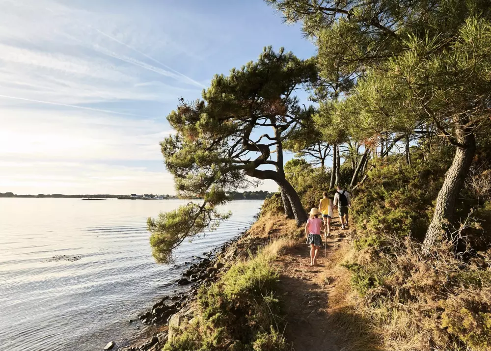 Camping Paradis Le Moulin des Oies 31 étoiles★
