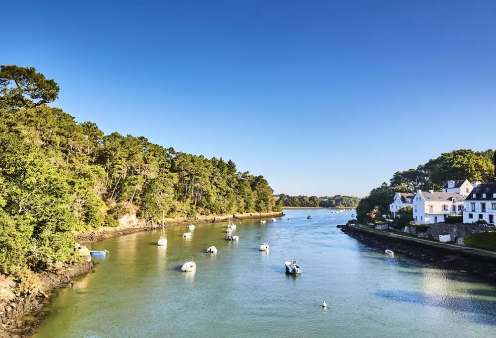 Camping Paradis Le Moulin des Oies 31 étoiles★