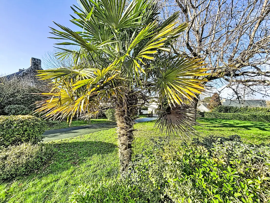 Maison de Vacances Belz