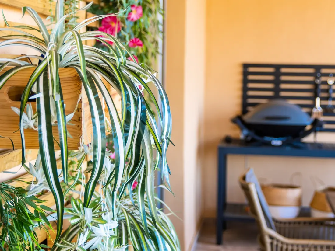 Location de Vacances Benahavís 27