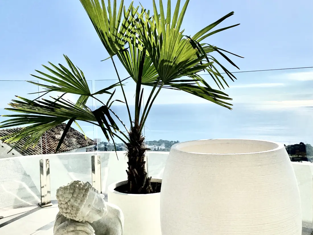 Location de Vacances Benalmádena 152