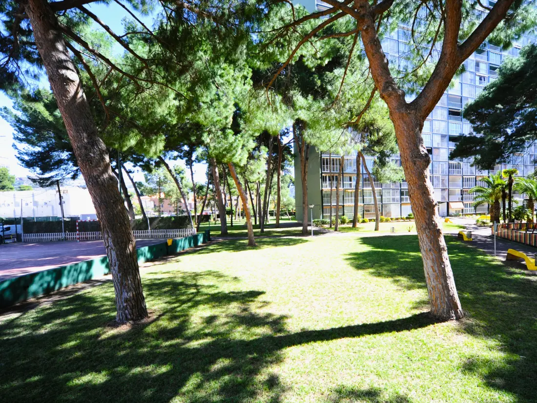 Location de Vacances Benicàssim 8